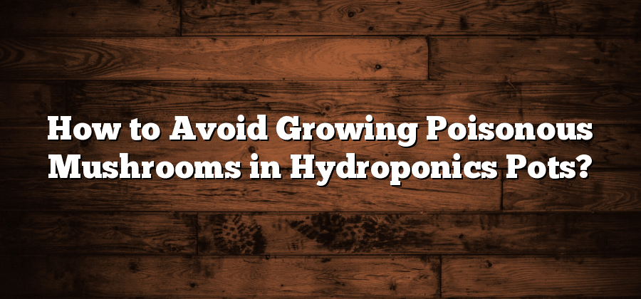How to Avoid Growing Poisonous Mushrooms in Hydroponics Pots?