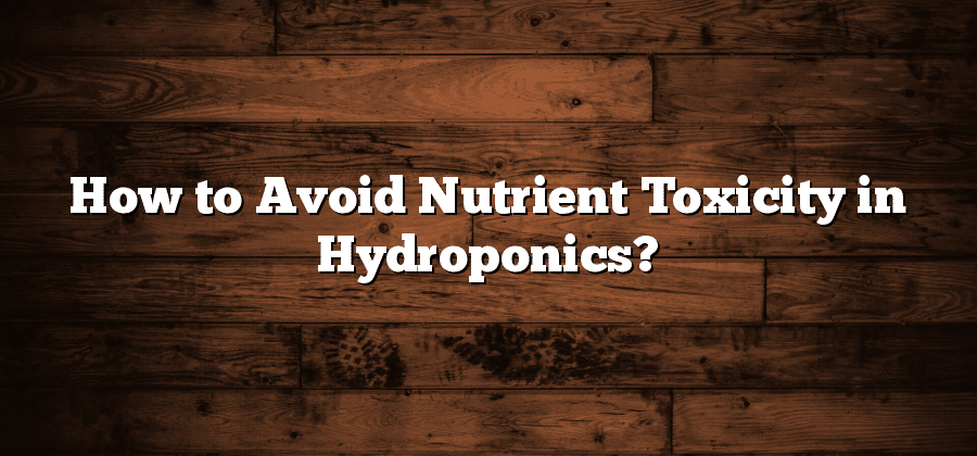 How to Avoid Nutrient Toxicity in Hydroponics?