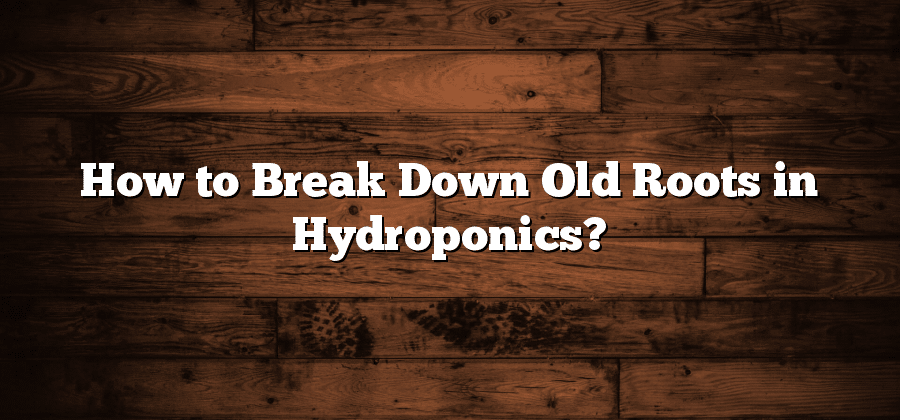 How to Break Down Old Roots in Hydroponics?