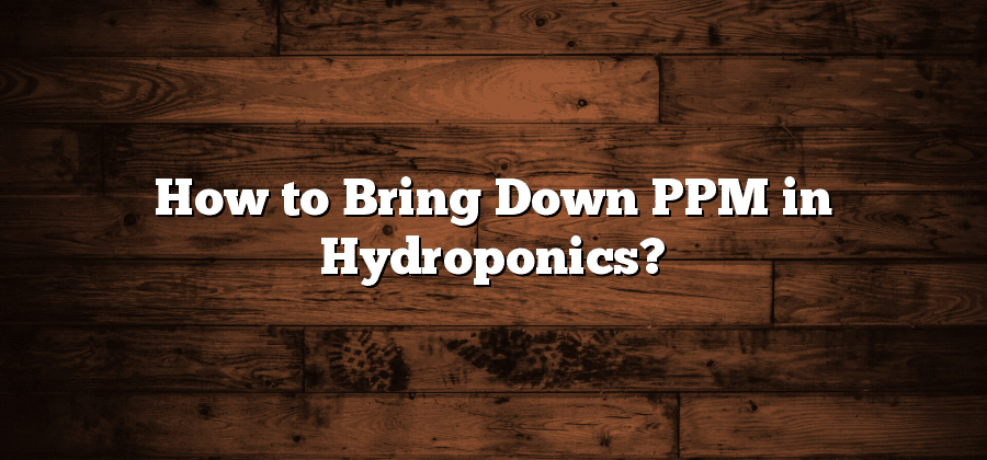 How to Bring Down PPM in Hydroponics?