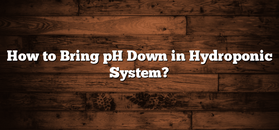 How to Bring pH Down in Hydroponic System?
