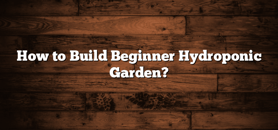 How to Build Beginner Hydroponic Garden?