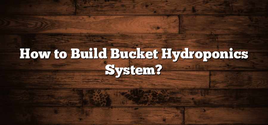 How to Build Bucket Hydroponics System?