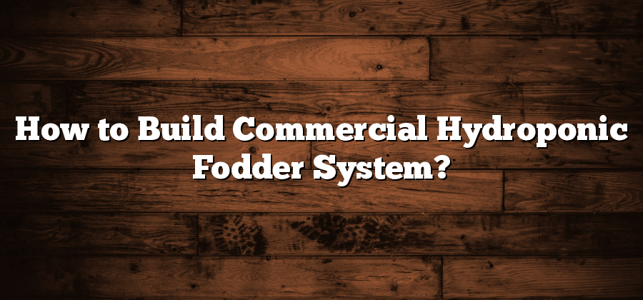 How to Build Commercial Hydroponic Fodder System?