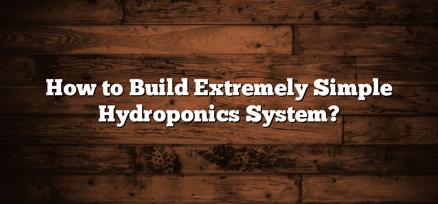 How to Build Extremely Simple Hydroponics System?