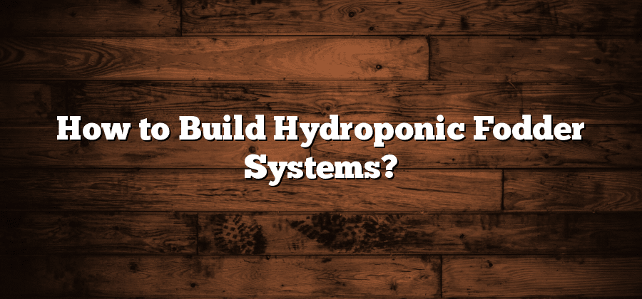 How to Build Hydroponic Fodder Systems?