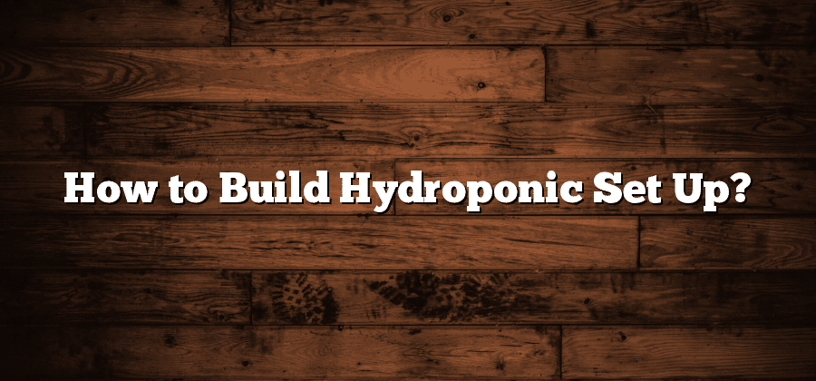 How to Build Hydroponic Set Up?