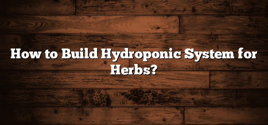 How to Build Hydroponic System for Herbs?