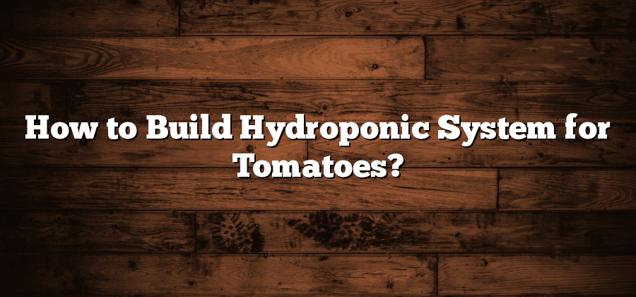 How to Build Hydroponic System for Tomatoes?