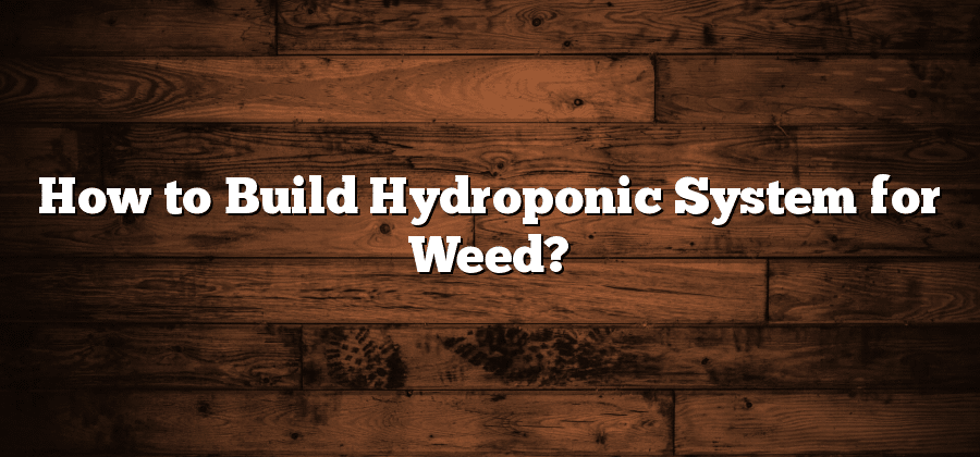 How to Build Hydroponic System for Weed?