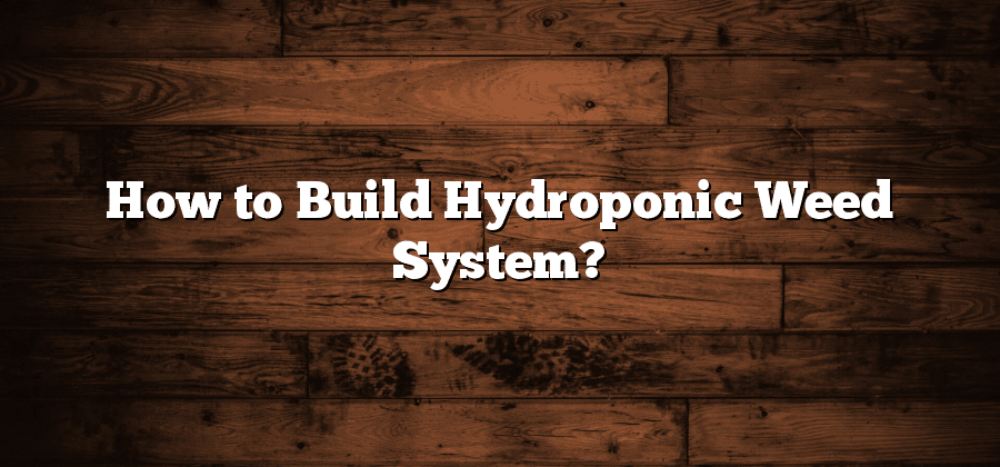 How to Build Hydroponic Weed System?