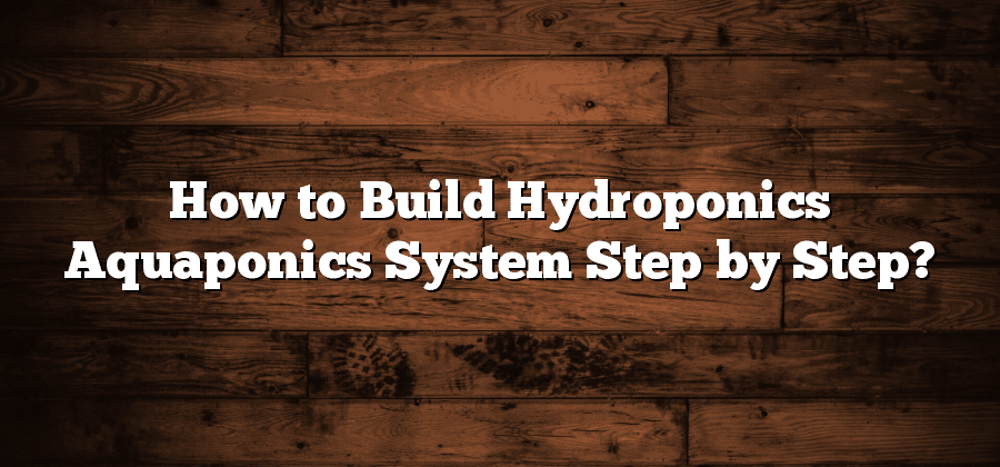 How to Build Hydroponics Aquaponics System Step by Step?