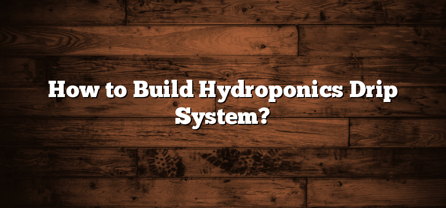 How to Build Hydroponics Drip System?
