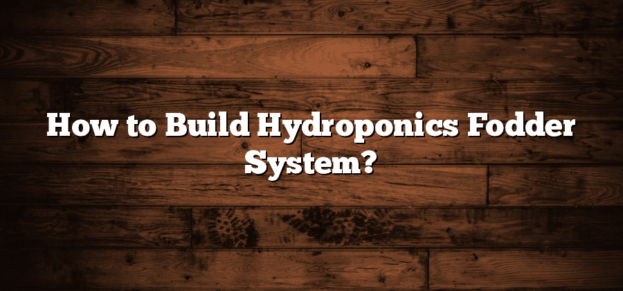 How to Build Hydroponics Fodder System?