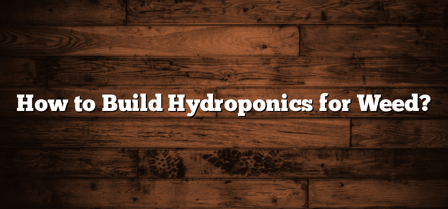 How to Build Hydroponics for Weed?