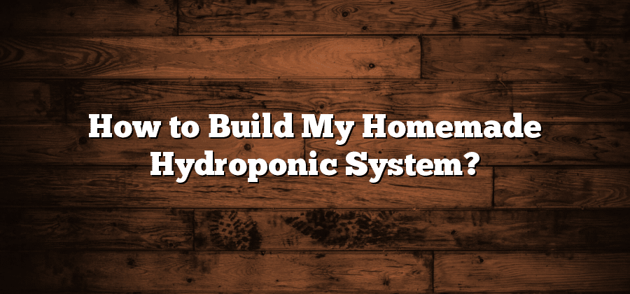 How to Build My Homemade Hydroponic System?
