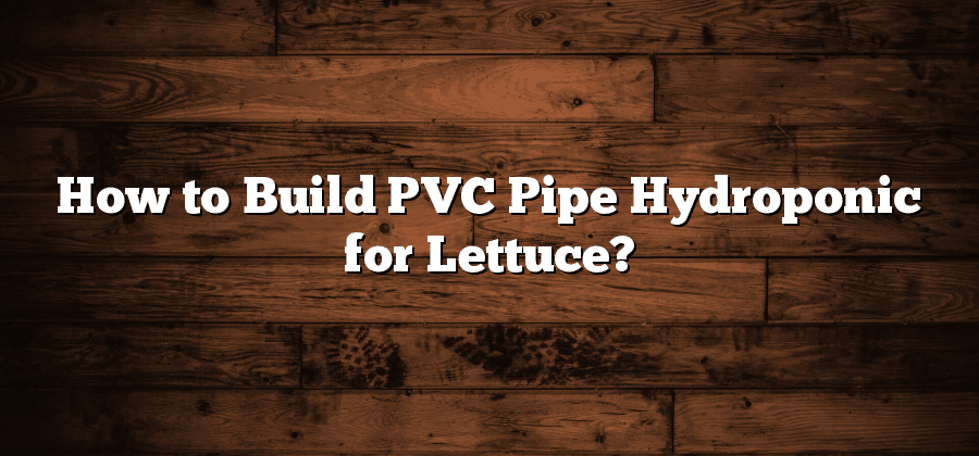 How to Build PVC Pipe Hydroponic for Lettuce?