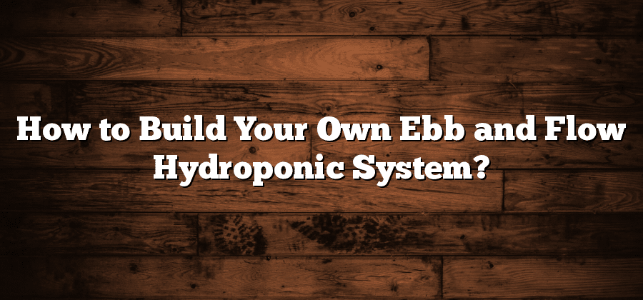 How to Build Your Own Ebb and Flow Hydroponic System?