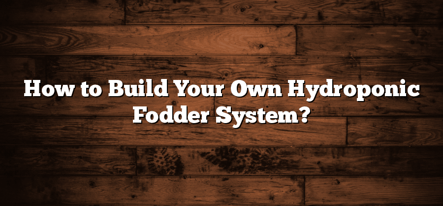 How to Build Your Own Hydroponic Fodder System?