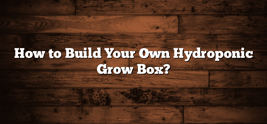 How to Build Your Own Hydroponic Grow Box?