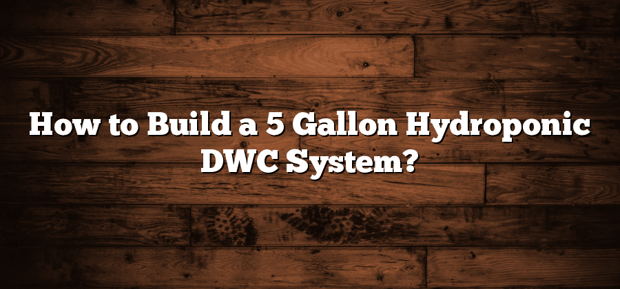 How to Build a 5 Gallon Hydroponic DWC System?