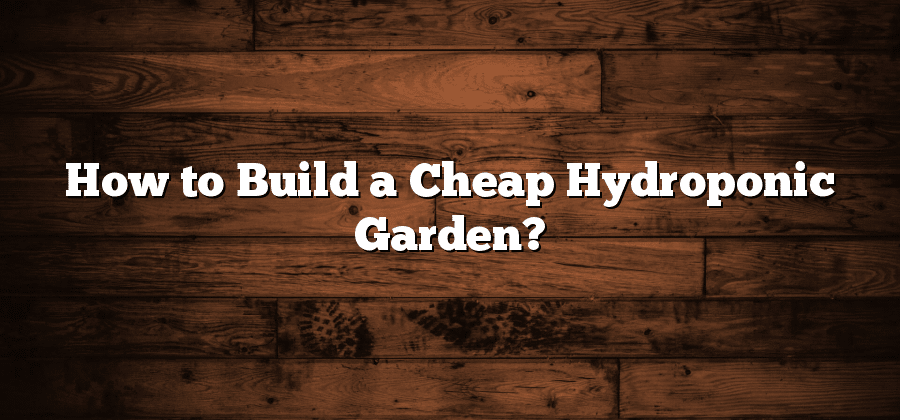 How to Build a Cheap Hydroponic Garden?