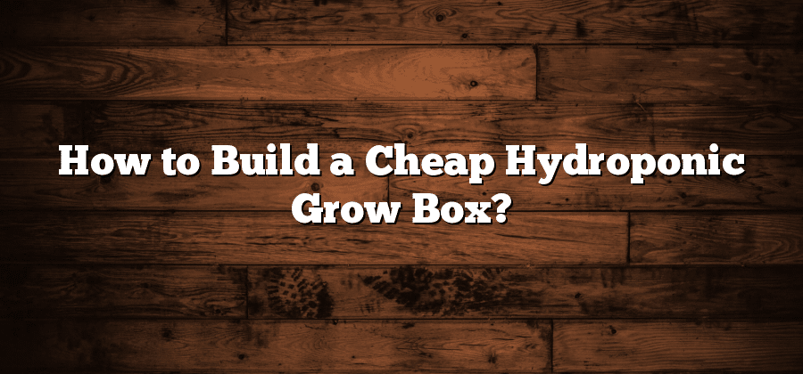 How to Build a Cheap Hydroponic Grow Box?
