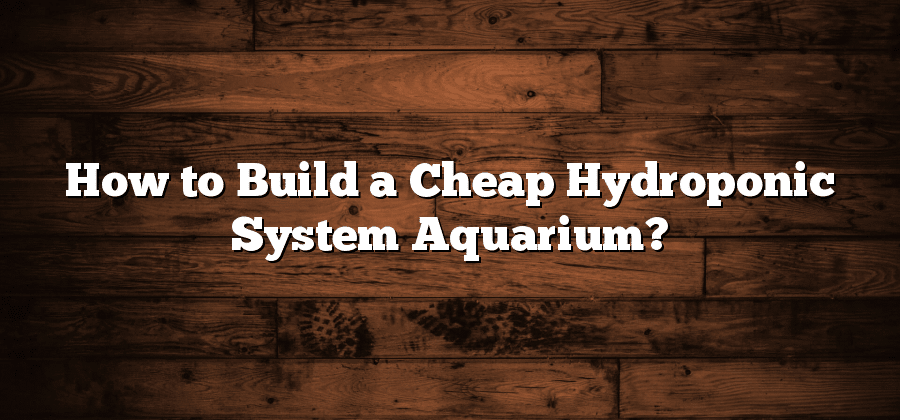 How to Build a Cheap Hydroponic System Aquarium?