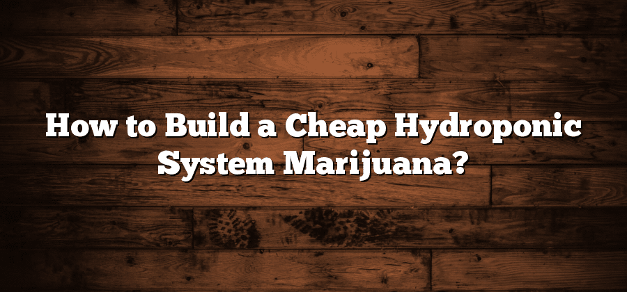 How to Build a Cheap Hydroponic System Marijuana?