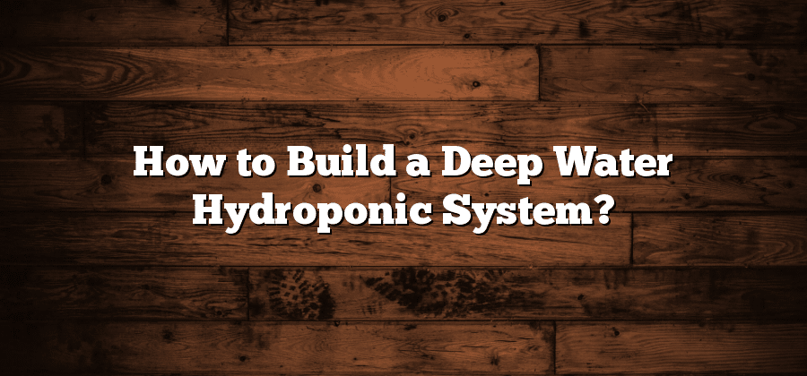 How to Build a Deep Water Hydroponic System?
