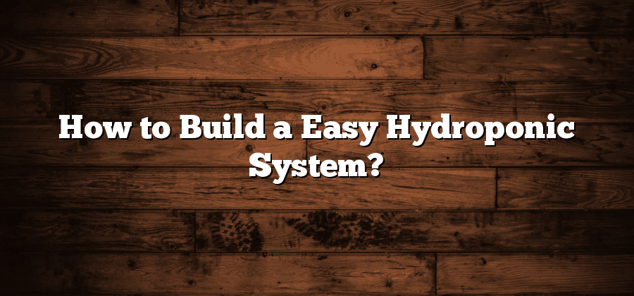 How to Build a Easy Hydroponic System?