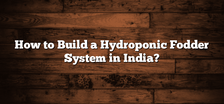 How to Build a Hydroponic Fodder System in India?