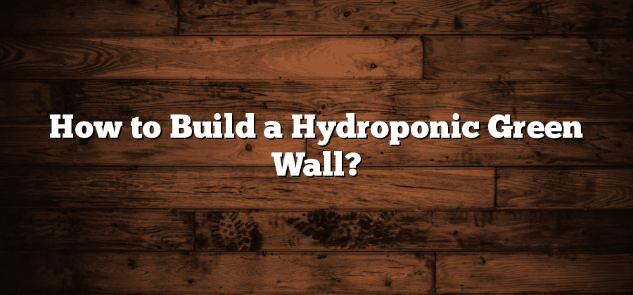 How to Build a Hydroponic Green Wall?