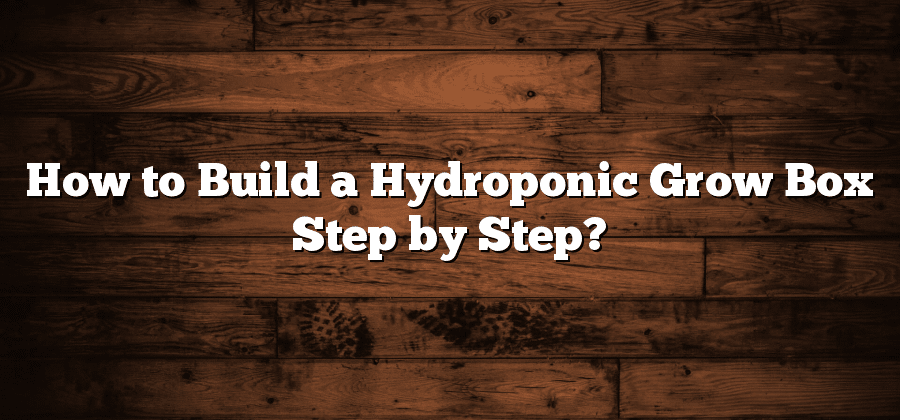 How to Build a Hydroponic Grow Box Step by Step?