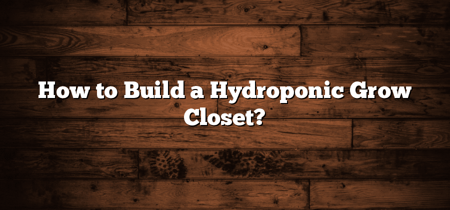 How to Build a Hydroponic Grow Closet?