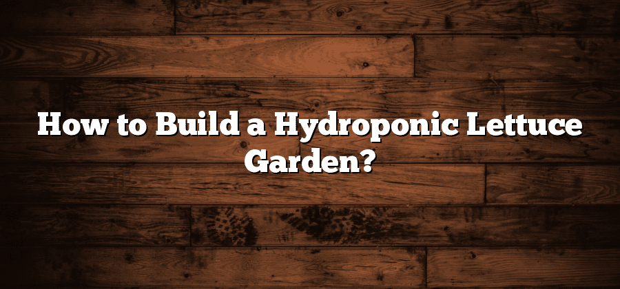 How to Build a Hydroponic Lettuce Garden?