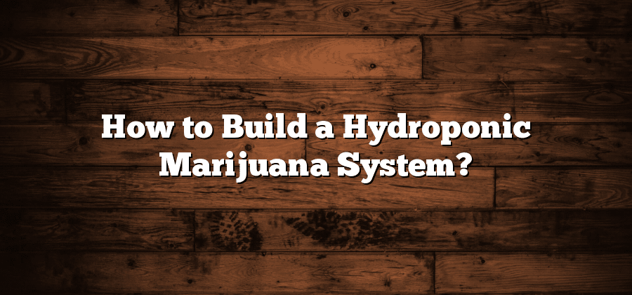How to Build a Hydroponic Marijuana System?