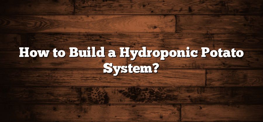 How to Build a Hydroponic Potato System?