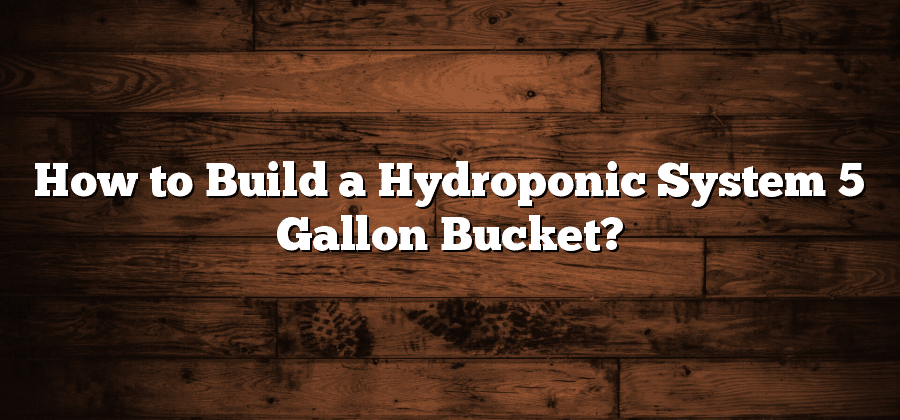 How to Build a Hydroponic System 5 Gallon Bucket?