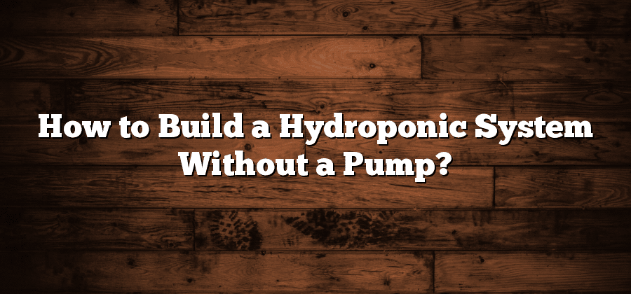 How to Build a Hydroponic System Without a Pump?