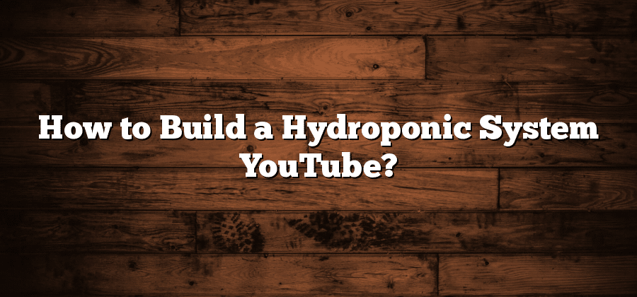 How to Build a Hydroponic System YouTube?