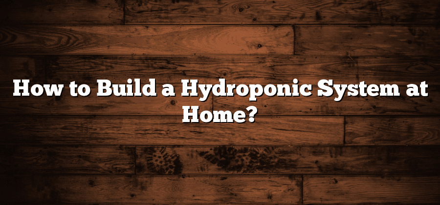 How to Build a Hydroponic System at Home?