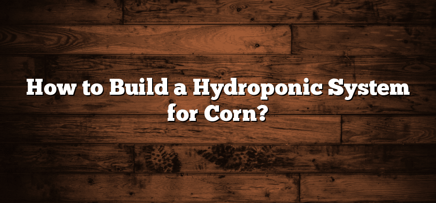 How to Build a Hydroponic System for Corn?