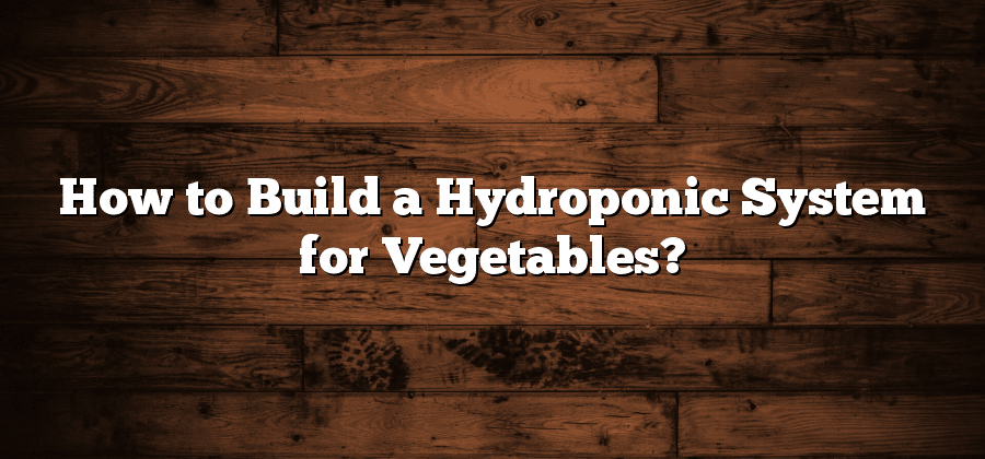 How to Build a Hydroponic System for Vegetables?