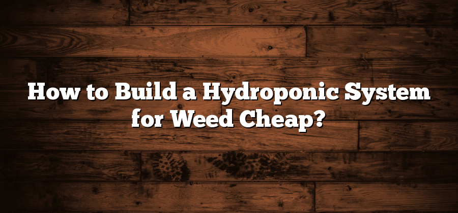 How to Build a Hydroponic System for Weed Cheap?