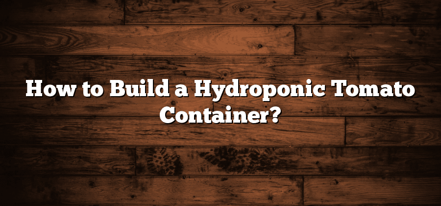 How to Build a Hydroponic Tomato Container?