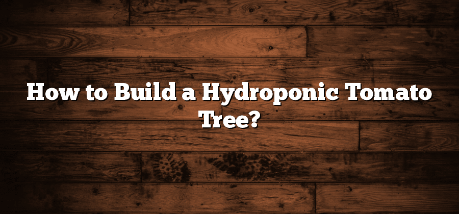 How to Build a Hydroponic Tomato Tree?