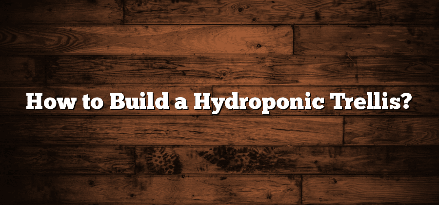 How to Build a Hydroponic Trellis?