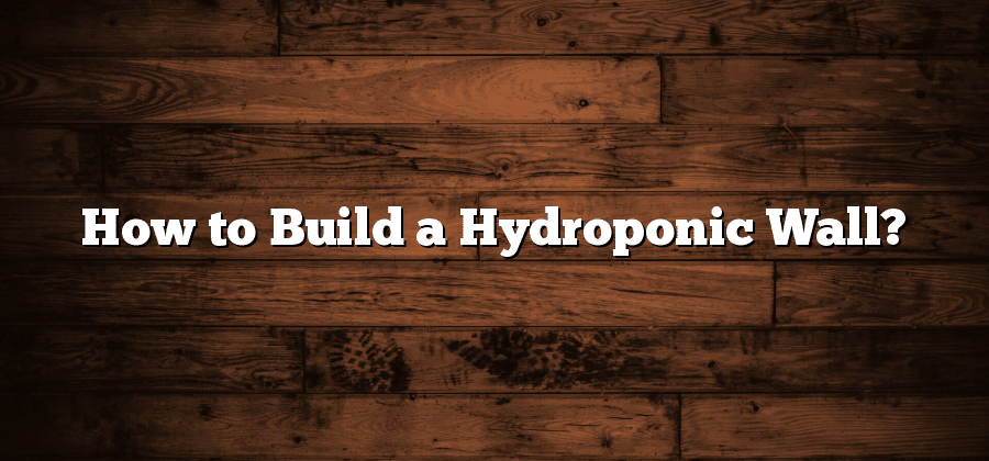 How to Build a Hydroponic Wall?