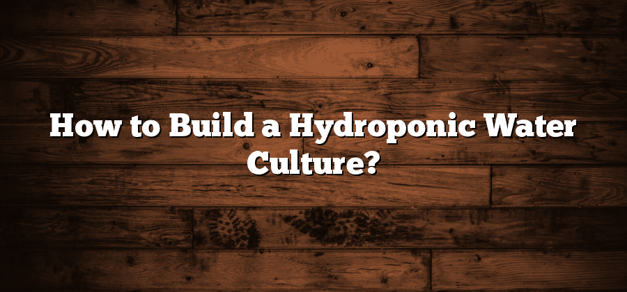 How to Build a Hydroponic Water Culture?